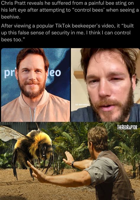 The hand thing doesn’t work on bees | Jurassic Park | Know Your Meme