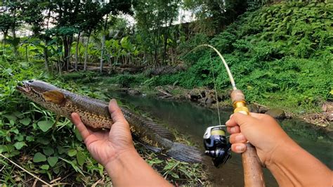 Senar Sampai Putus Spot Lama Tak Di Pancing Ikan Nya Jadi Ganas