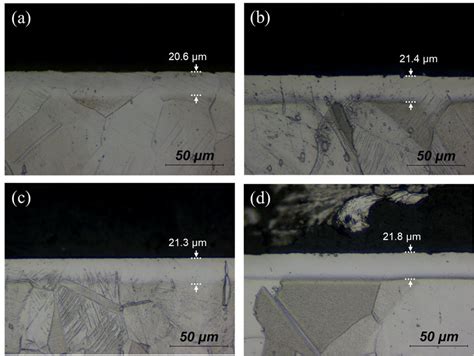 Cross Section Of Microstructure Of Austenitic Stainless Steel After