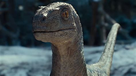 Jurassic World Dominion Trailer Breakdown Dinosaurs Rule The Earth