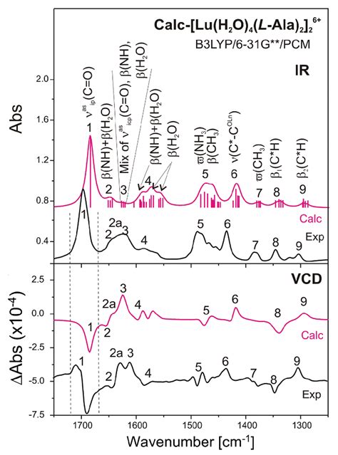 Molecules Free Full Text Chiral Lanthanide Complexes With L And D