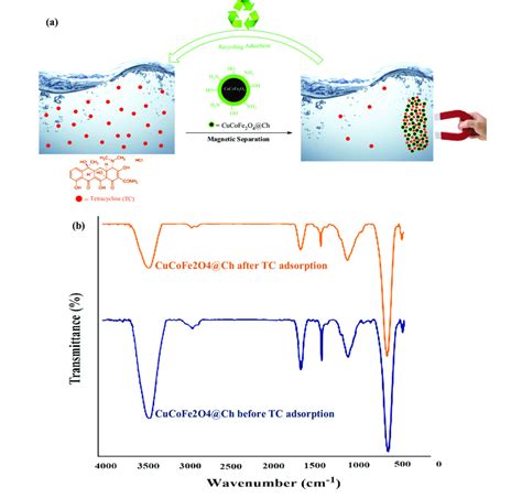 Adsorption Mechanism A FTIR Of CuCoFe 2 O 4 Ch Before And After TC