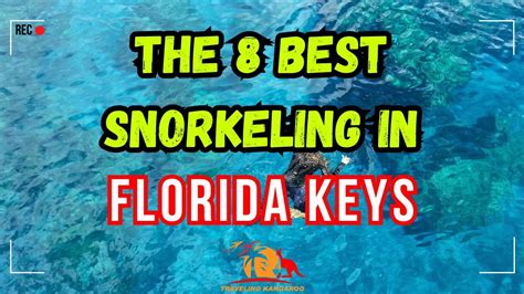 The Best Snorkeling In Florida Keys Youtube