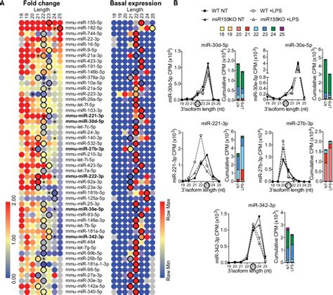 Broad Effect Of LPS On MiRNA Isoforms In Mouse BMDMs A Heat Maps