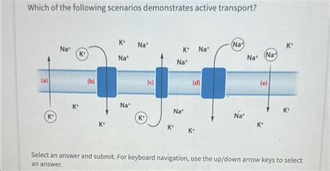 Solved Which Of The Following Scenarios Demonstrates Active Chegg