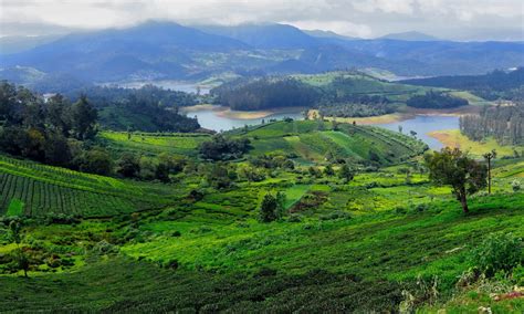 travel agency  tamil nadu pollachi tours travels