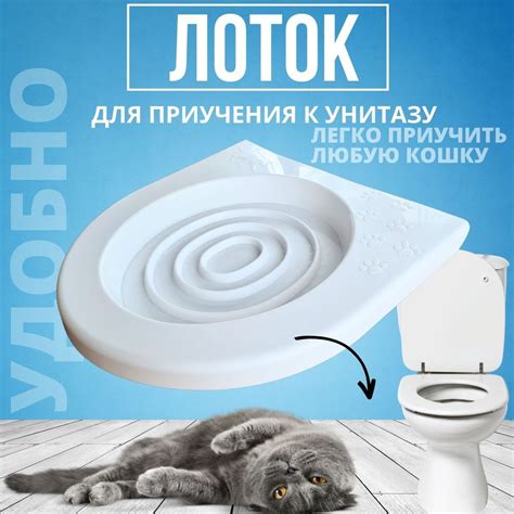 Приучающий лоток для кошек к унитазу. Система приучения кошек к унитазу ...