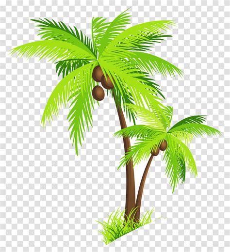 Palm Tree Clipart Image Background Coconut Tree Clipart Transparent Png