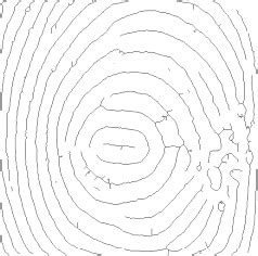 Figure From Fingerprint Feature Extraction Using Ridges And Valleys