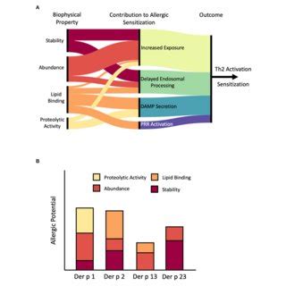 Role Of Stability Abundance And Biological Activity In Allergic