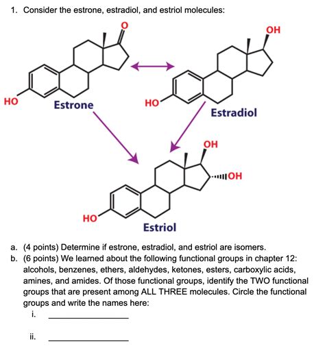 Solved 1 Consider The Estrone Estradiol And Estriol Chegg