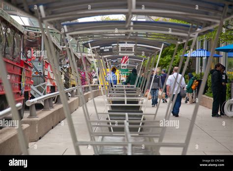 duck boat tours Stock Photo - Alamy