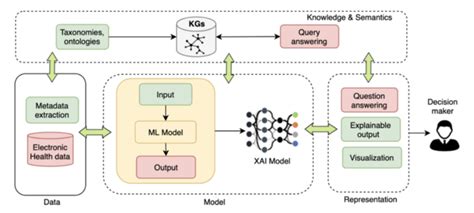 Clinical Decision Support Using Healthcare Knowledge Graphs Wisecube