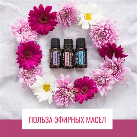 Арома-класс о пользе эфирных масел - Экаданта