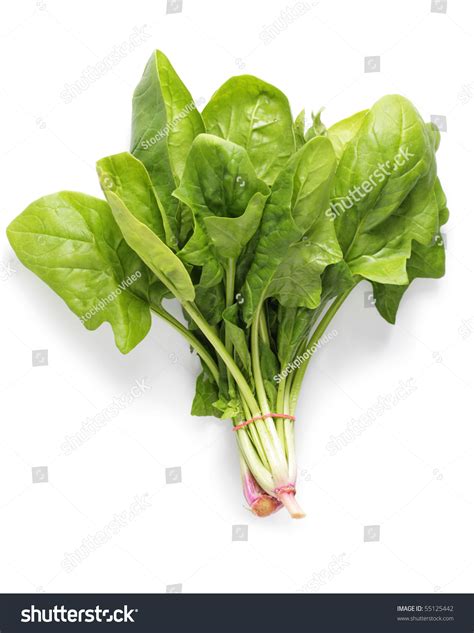 Bunch Spinach Isolated On White Background Stock Photo Edit Now