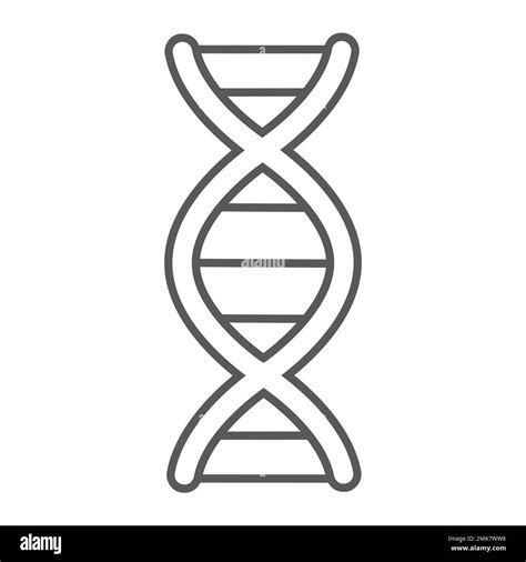 Dna Thin Line Icon Chromosome And Biology Genetic Sign Vector