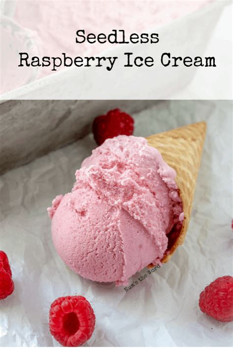 Homemade Raspberry Ice Cream Recipe - Num's the Word