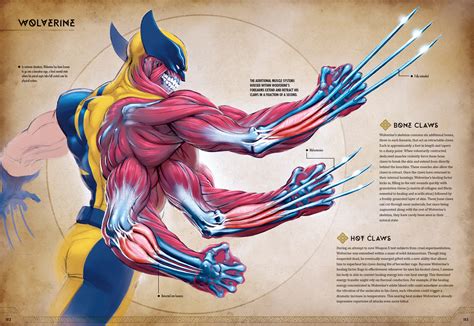 Jonah Lobe - Wolverine - Marvel Anatomy