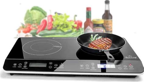 Top 10+ Best Portable Induction Cooktop Reviews 2020 - DADONG