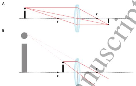 Image Formation In Convex Lenses A When An Object Is Placed In Front