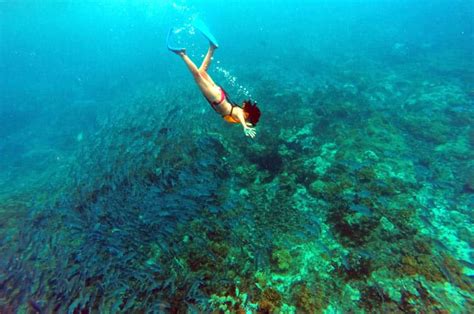 Snorkeling at Cano Island: The 2nd Best Place in Costa Rica