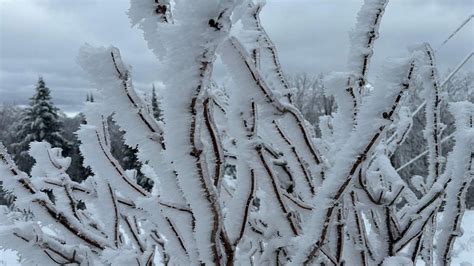 Understanding rime ice: Why does it coat the landscape in ice?