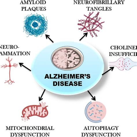 Pathophysiology Of Alzheimer’s Disease Figure 1 Depicts The Multiple Download Scientific