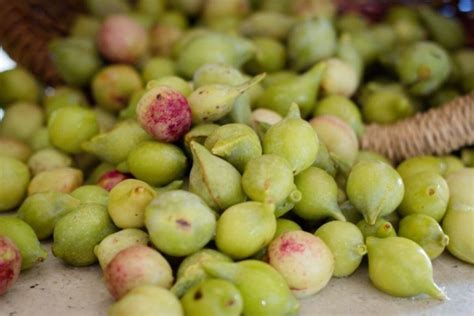 Nature’s Superfood: The Incredible Kakadu Plum - Ocean Dream Charters