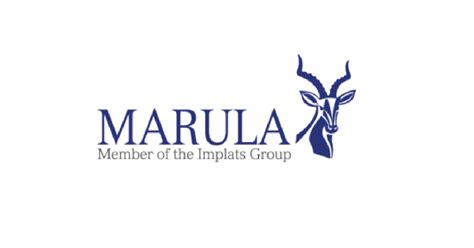 Marula Platinum Mine Internships 2022 Za