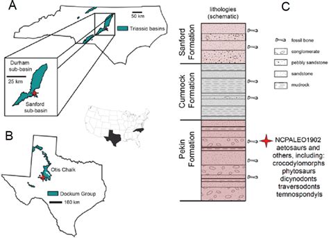 Locality Information And Stratigraphic Position Of Ncpaleo1902 A Download Scientific Diagram