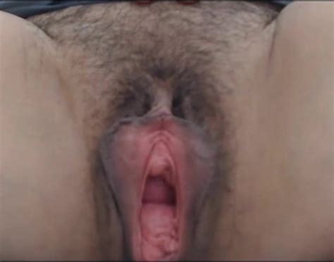 Hairy Mature Cunt Amateur Close Up Pussy Porn XHamster