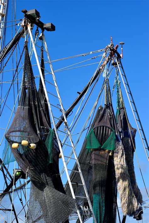 Commercial fishing nets,shrimp nets,fish,business,fishing - free image ...