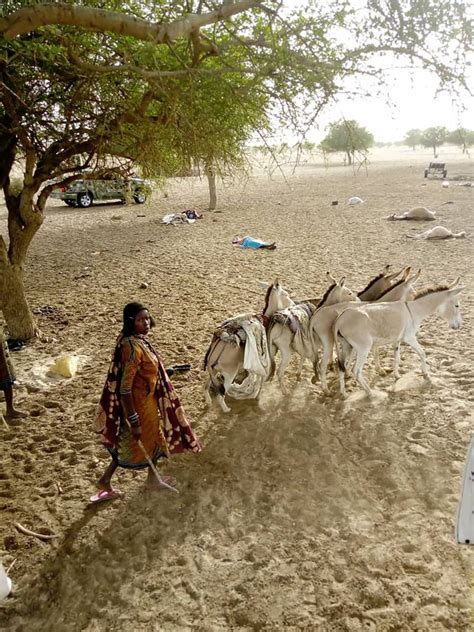 81 Killed In Bloody Boko Haram Attack In Nigerian Village Cnn