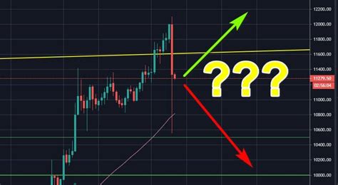 bitcoins   plunge    bull run  btc