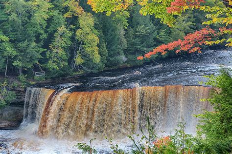 Michigan Tahquamenon Falls State Park Photograph By Jamie And Judy