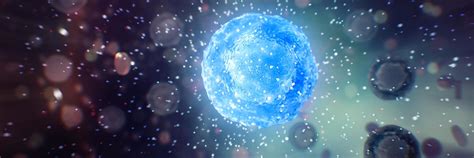 mesoblast  annualreportscom