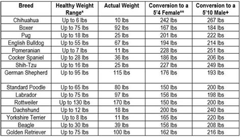 Puppy Feeding Chart By Age