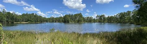 Three Lakes Loop Florida Alltrails