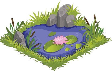 Cartoon Water Pond With Reeds And Lilies In An Isometric Viewsuitable