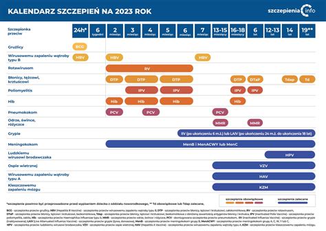 Program Szczepie Ochronnych W Roku Szczepienia Info