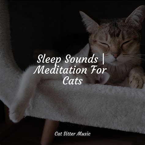 Sleep Sounds | Meditation For Cats - Music for Relaxing Cats - 专辑 - 网易云音乐