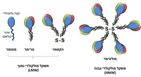 Adiponectin Structure Pixel Computer File - Display Resolution ...