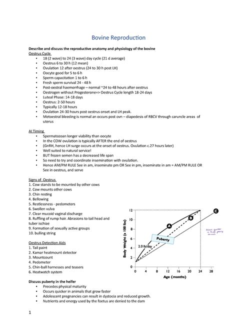 Bovine and Ovine Reproduction - Bovine Reproduction Describe and ...