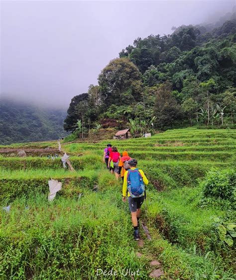 Di Sinilah Curug Dan Kawah Kompakan Curug Cikawah Bogor