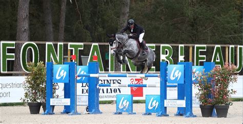 Le Haras Des Coudrettes Feline De Hus Hdc