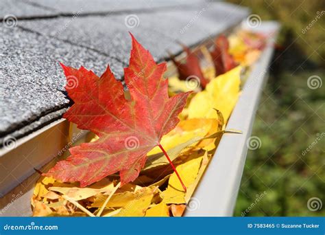 Rain Gutter Full Of Leaves Royalty Free Stock Photo Image 7583465