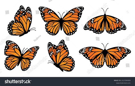 152,725 Monarch Butterfly Images, Stock Photos & Vectors | Shutterstock