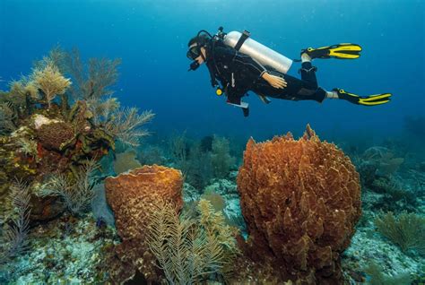 Belize Barrier Reef | Travel Belize | travelbelize.org