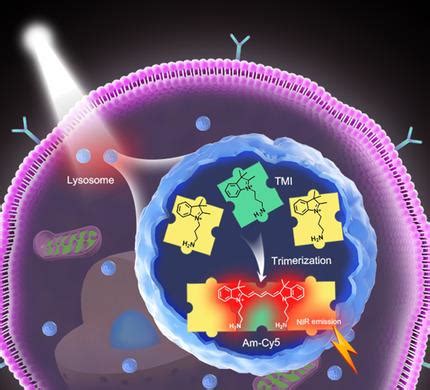 Photoactivated In Situ Generation Of Near Infrared Cyanines For