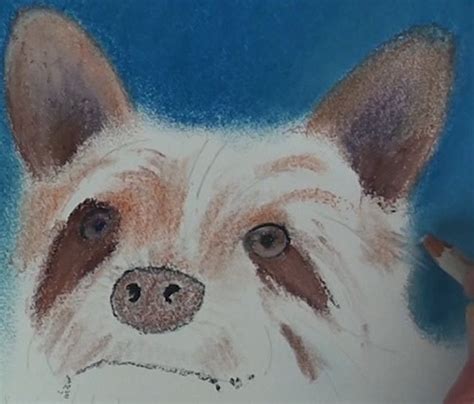 How To Draw A Long Hair Dog In Pastel — Online Art Lessons